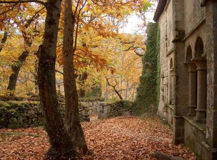 Casa Pepe Ξενοδοχείο Parada del Sil Εξωτερικό φωτογραφία