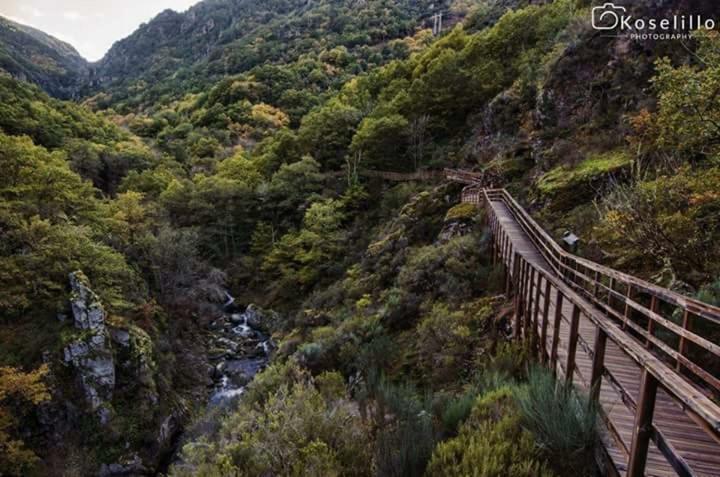 Casa Pepe Ξενοδοχείο Parada del Sil Εξωτερικό φωτογραφία